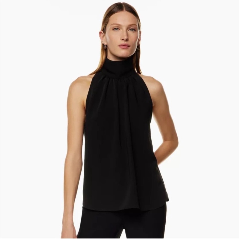 Aritzia Babaton Vitae Blouse - black
